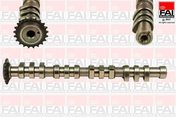 Camshaft C377