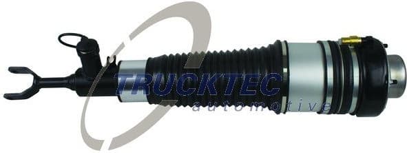 Air Suspension Strut 07.30.059