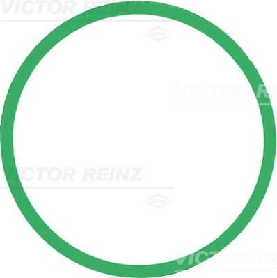 Gasket, intake manifold 713930300