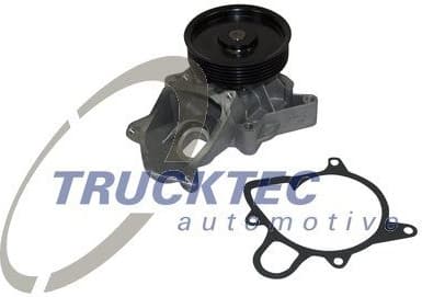 Water Pump, engine cooling 08.19.263