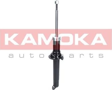 Shock absorber front 2000108