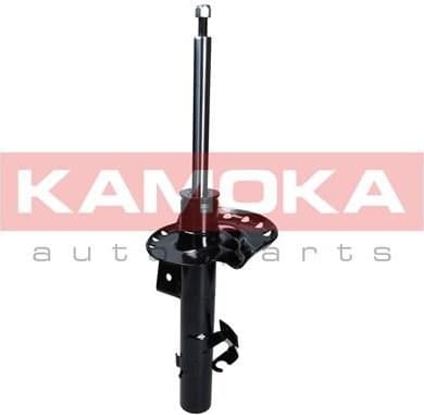 Shock absorber front 2000316
