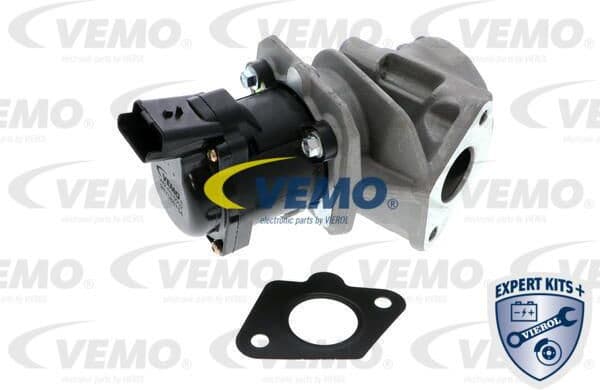 EGR Valve EXPERT KITS + V42-63-0002