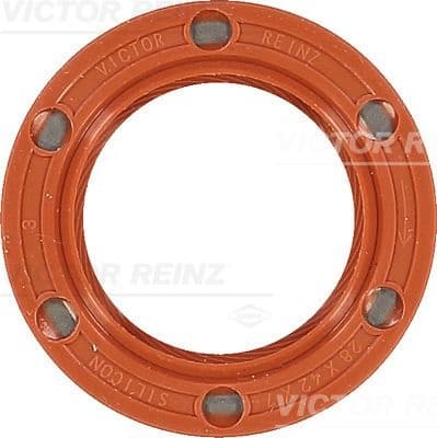 Shaft Seal, camshaft 81-33653-10