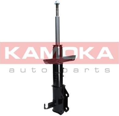 Shock absorber front 2000049