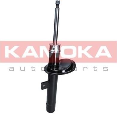 Shock Absorber 2000211