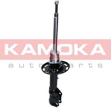 Shock absorber front 2000148