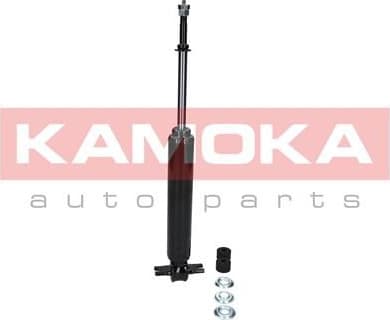 Shock Absorber 2000975