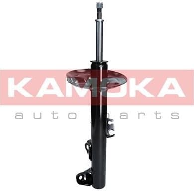Shock absorber front 2000179