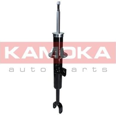 Shock absorber front 2000656