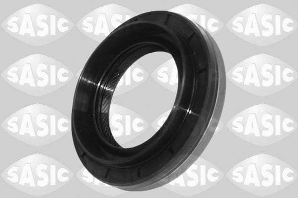 Shaft Seal, differential 1954012