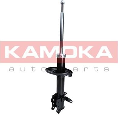Shock absorber rear 2000178