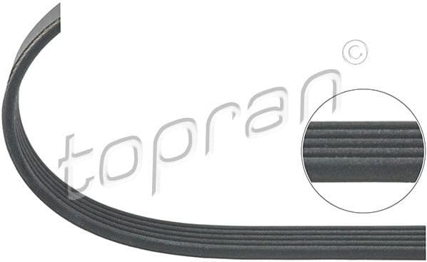 V-ribbed Belt 500 692