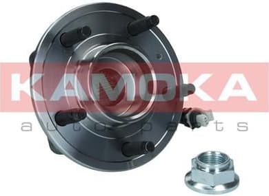 Bearing wheel 5500194