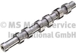 Camshaft 50007655