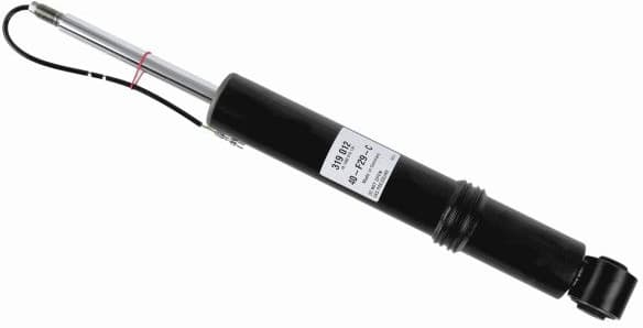 Shock Absorber CDC 319 012