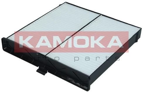 Filter, cabin air F419601