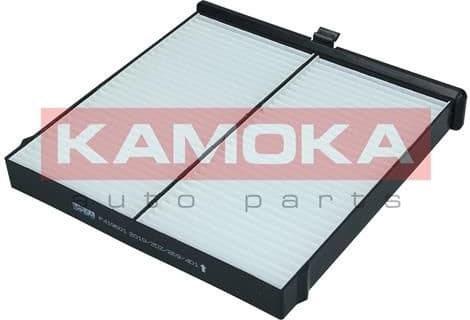 Filter, cabin air F419601 - image 3