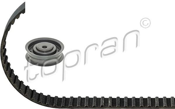 Timing Belt Kit 101 059
