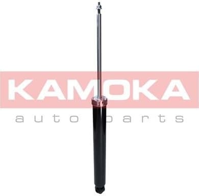 Shock absorber rear 2000920