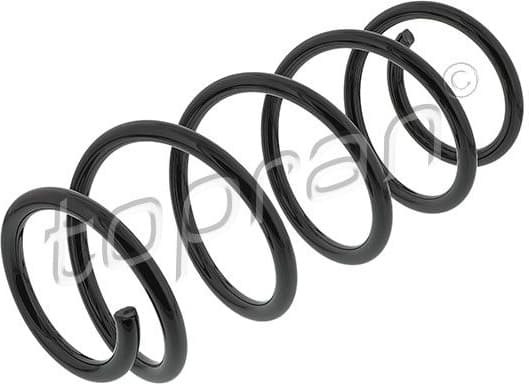 Suspension Spring 207 001