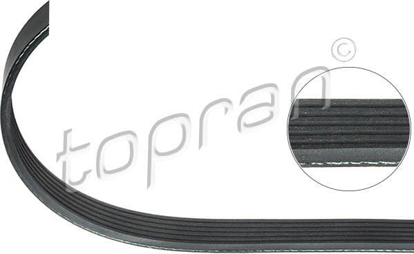 V-ribbed Belt 109 868