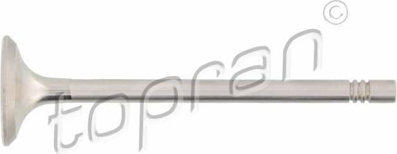 Exhaust Valve 110 211