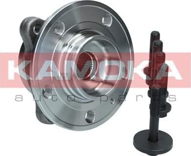 Wheel Bearing Kit 5500379
