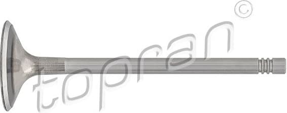 Intake Valve 110 203