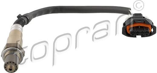 Oxygen Sensor 207 060