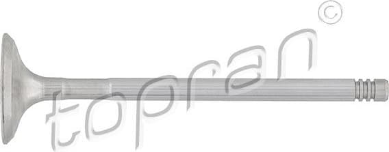 Exhaust Valve 501 420