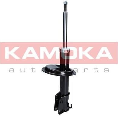 Shock Absorber 2000248
