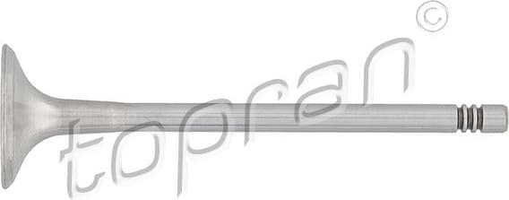 Exhaust Valve 107 132