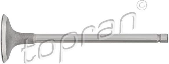Intake Valve 721 561