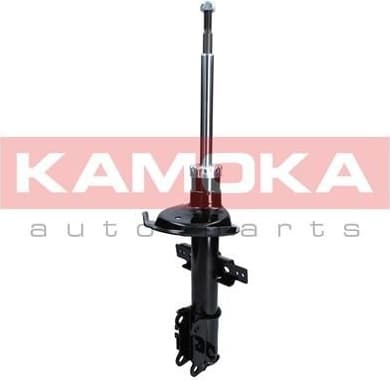Shock Absorber 2000056