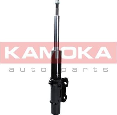 Shock absorber front 2000043