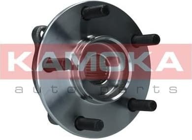 Wheel Bearing Kit 5500299