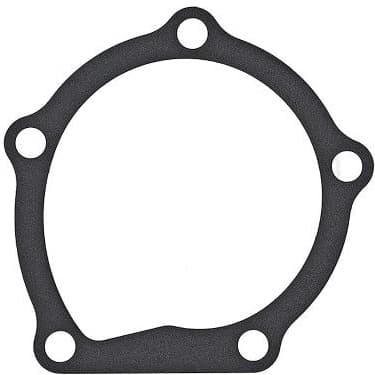 Gasket, water pump 925.170