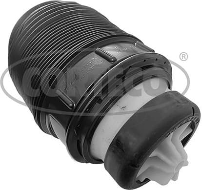 Air Spring, suspension 49430430
