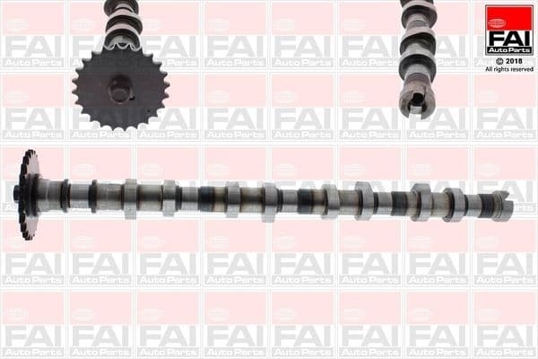 Camshaft C387