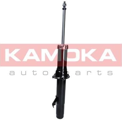 Shock absorber front 2000716