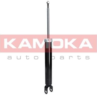 Shock absorber rear 2000059