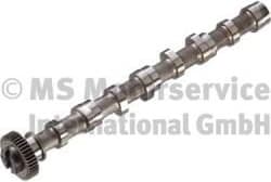 Camshaft 50007020