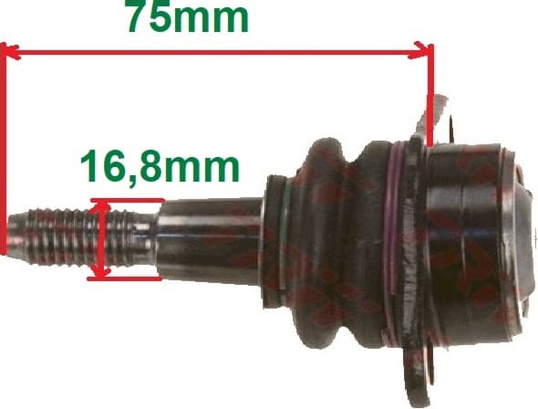 Ball Joint 31180 01