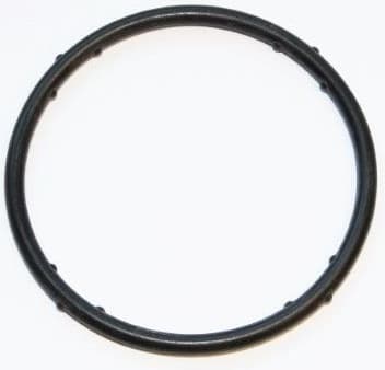 Gasket coolant flange 625.270