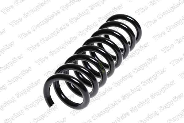 Suspension Spring 4256856