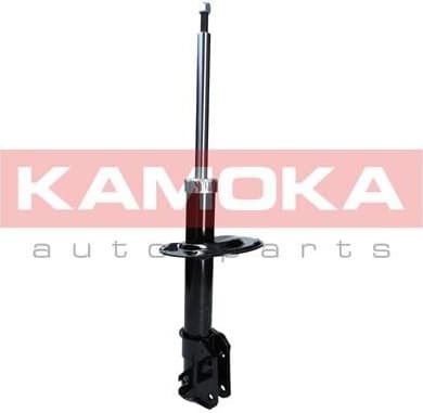 Shock Absorber 2000385