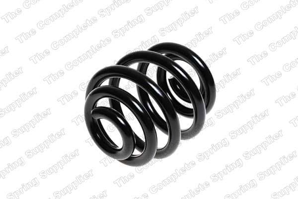 Suspension Spring 4204249