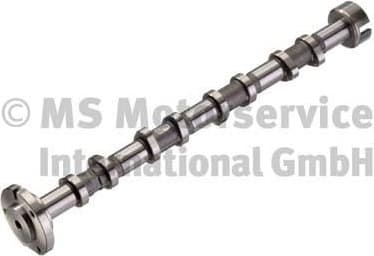 Camshaft 50007050