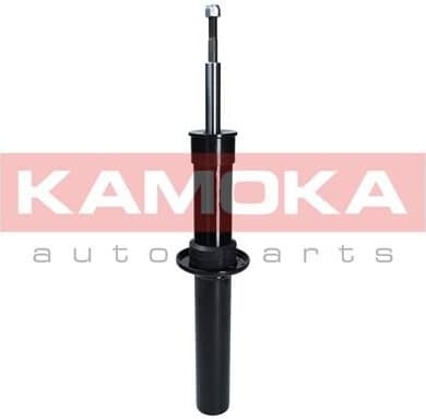 Shock Absorber 2000516